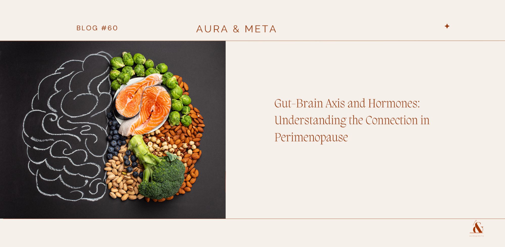 Gut Brain Axis and Hormones