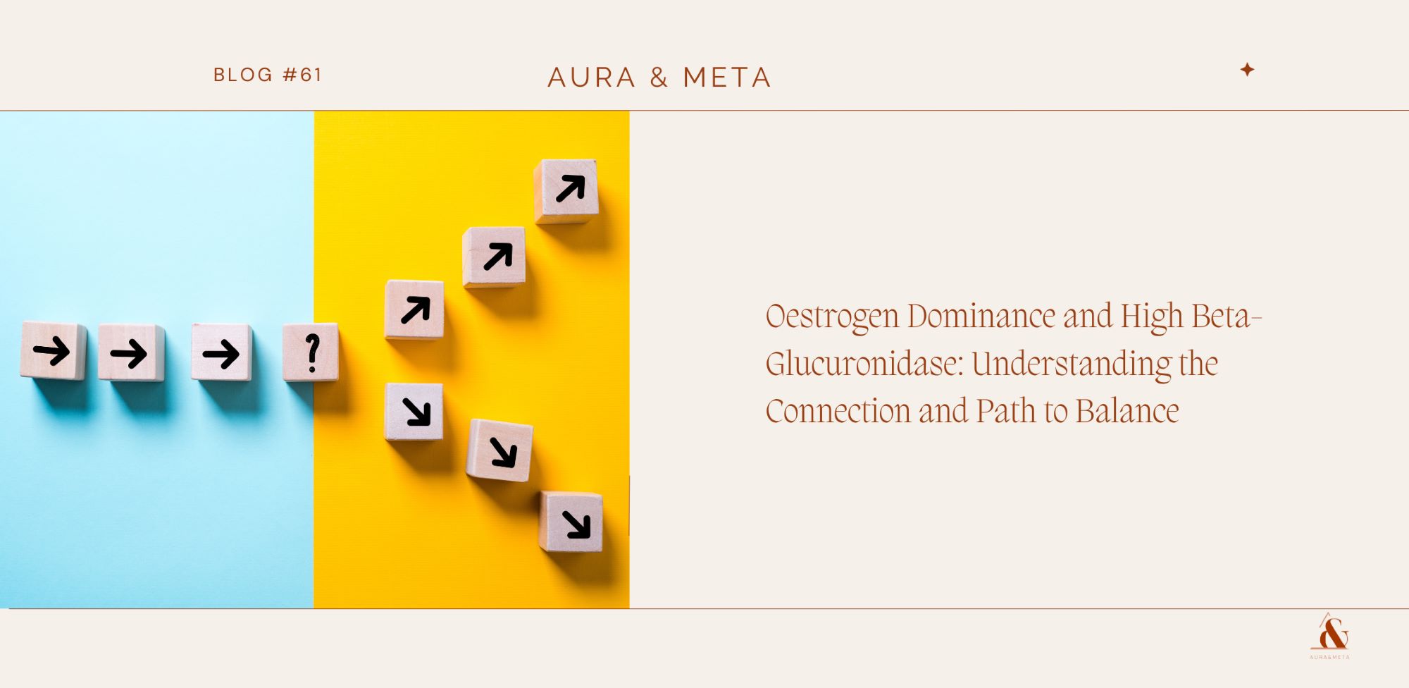 Oestrogen Dominance and high beta Glucuronidase