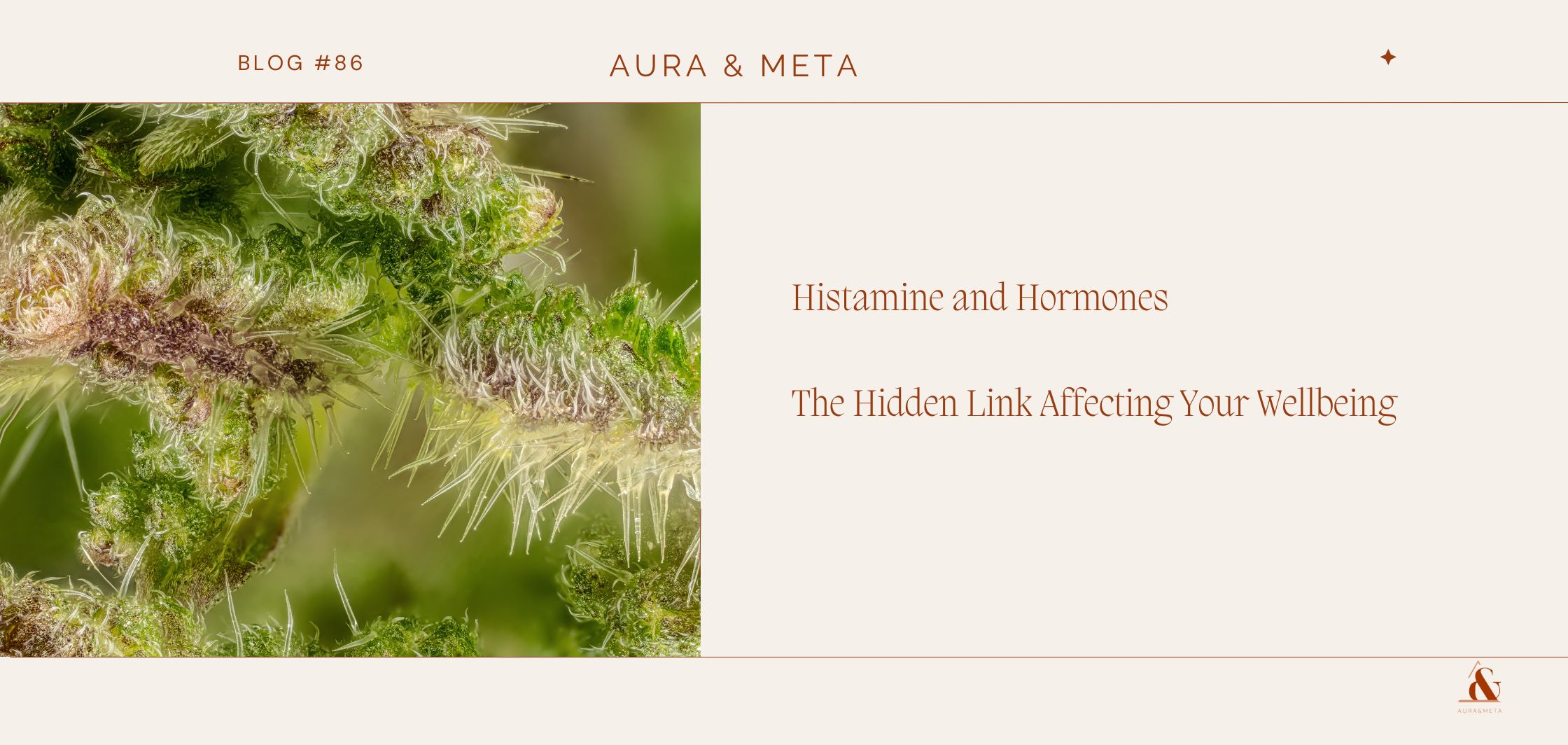 Histamine and Hormones