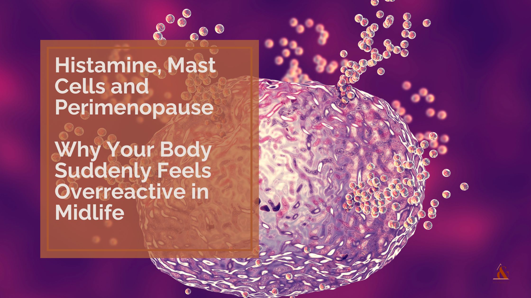 Histamine Intolerance in Perimenopause: Symptoms, MCAS & the Oestrogen Connection