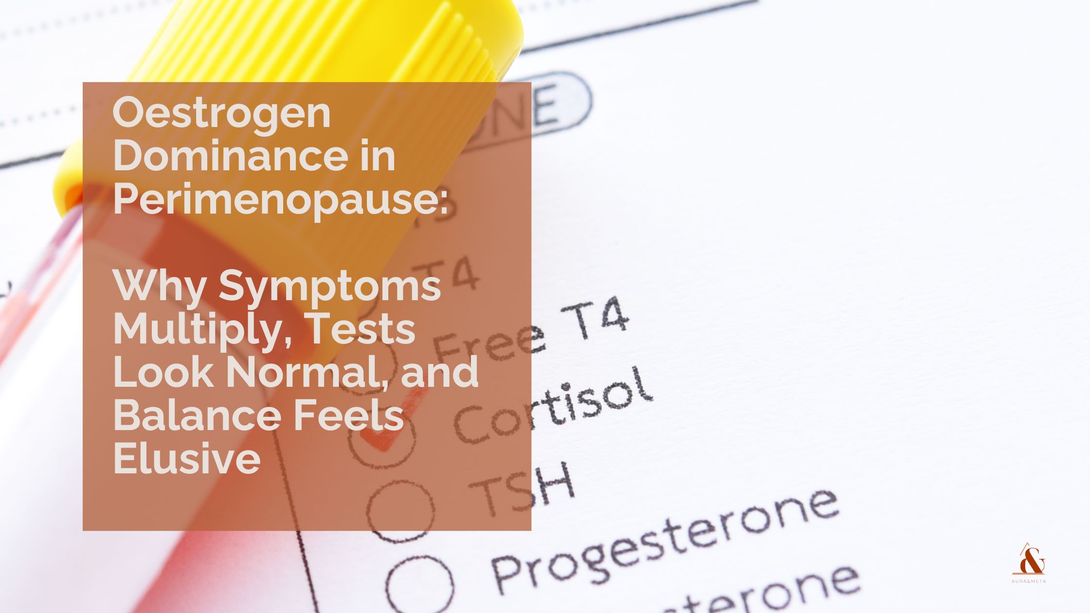 Oestrogen Dominance in Perimenopause: Why Symptoms Escalate