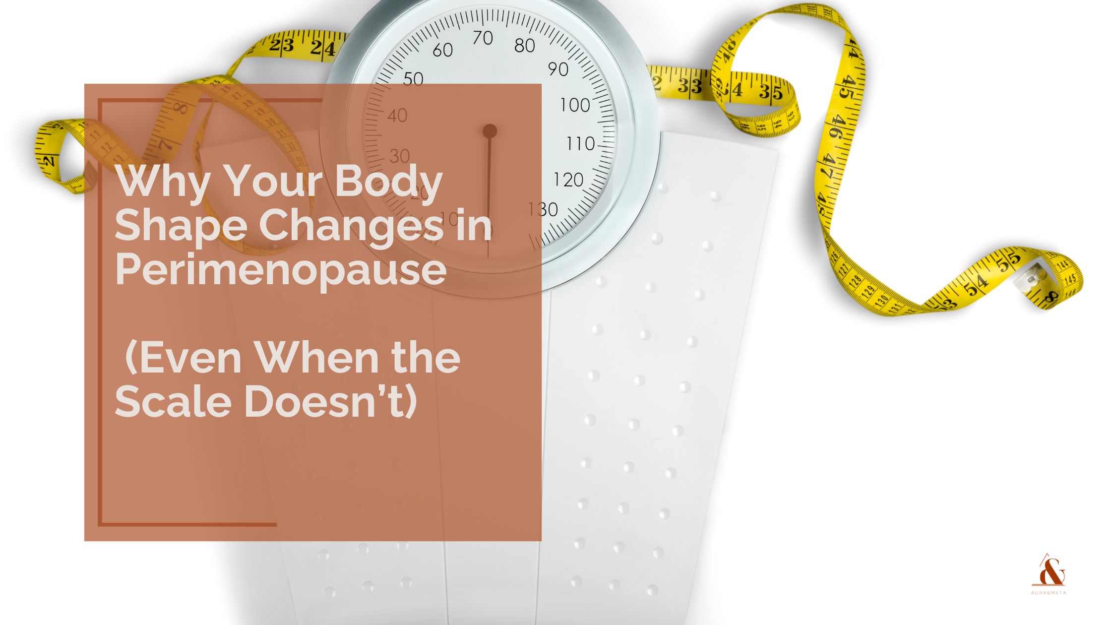 body shape changes perimenopause