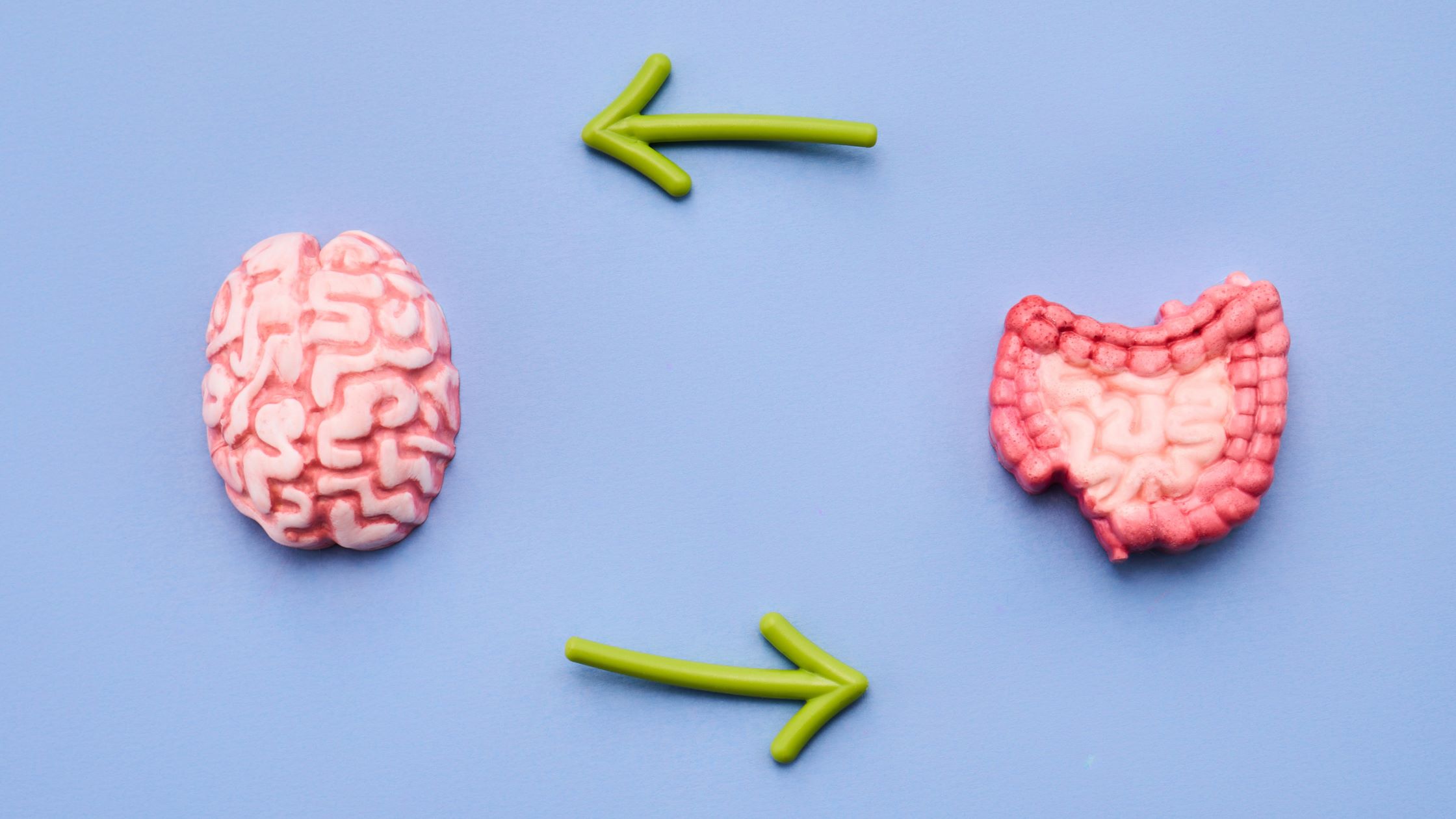 Why Digestion and Mood Are Connected in Midlife Women